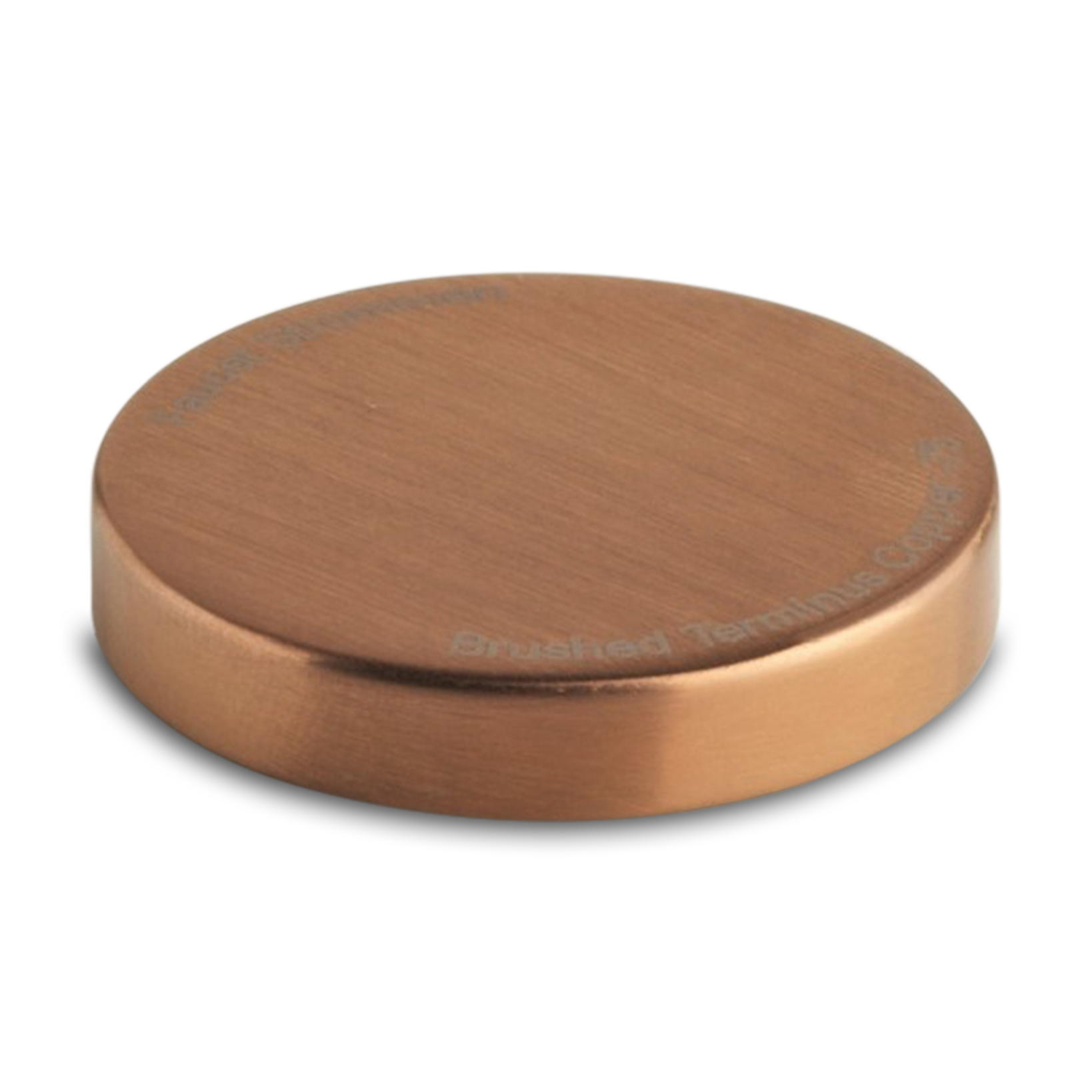 35138 Zeos Ceiling Shower 100 Drop